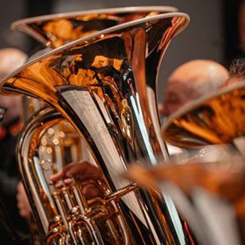 Baritone in baritone lessons