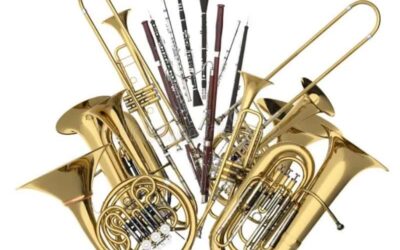 How to Choose an Instrument for School Band