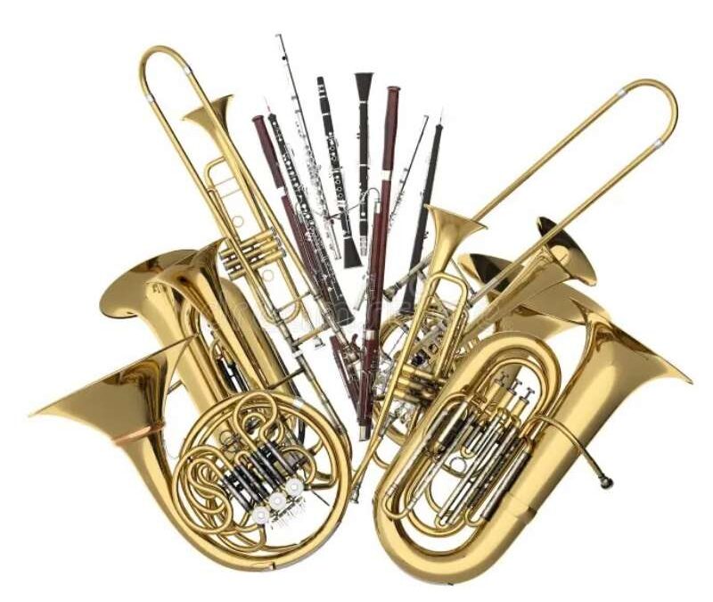 How to Choose an Instrument for School Band