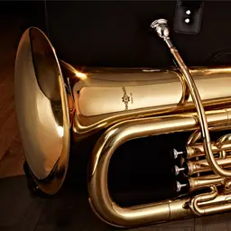 A Tuba